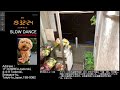 【Mon.04/27/2026 Livecamera at the florist】 スローダンス SLOWDANCE 等々力 尾山台 世田谷 Setagaya 東京 Tokyo 日本 Japan