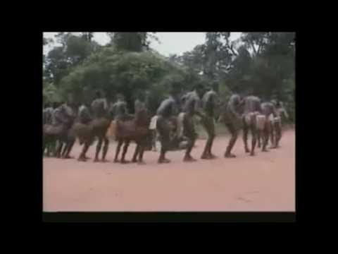 გოგოხიას