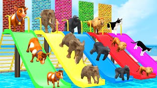Don’t Break The Wrong Wall with LONG SLIDE Elephant, Cow, Lion, Gorilla \& Cat Wild Animals Cage Game