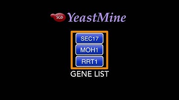 SGD Help: Uploading Gene Lists to JBrowse