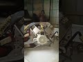 Двигатель стиральной машины #shorts
