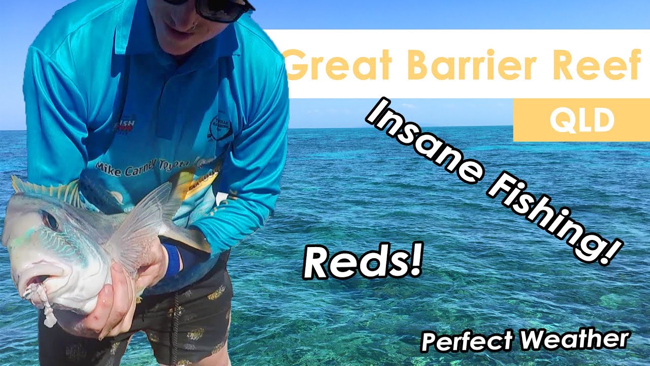 screaming reels uk Fishing The Great Barrier Reef off Magnetic Island!