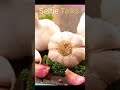 பூண்டு மொத்த விற்பனை (10-12-25) /Garlic wholesale market in India #vegitablemarket #wholesale