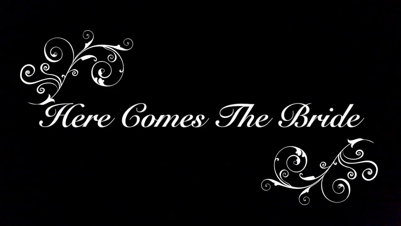 Here Comes The Bride Music Box (Royalty Free)