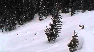 Slednecks 5