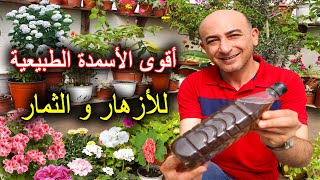 أفضل سماد طبيعي للأزهار و الثمار | سماد شاي الفيرمي كمبوست