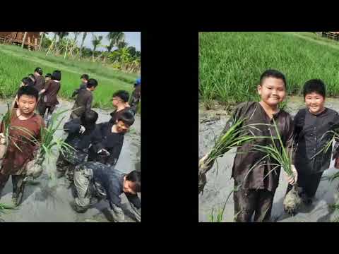 bye bye cô giáo dễ thương 😊và các bạn... hẹn gặp lại 🤣 (tiểu học Phong Phú 2 ) - youtube