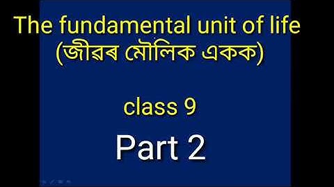 class 9// science// the fundamental unit of life (জীৱৰ মৌলিক একক)// part ২