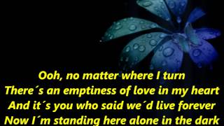 Thomas Anders - No More Tears On The Dancefloor [Lyrics] Resimi