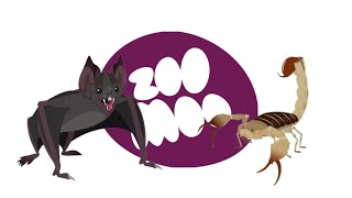 ZOOMOO SPECIALS | NIGHT CREATURES |