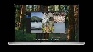 Media Wall Player for macOS v1.3 App Demo 2 screenshot 4