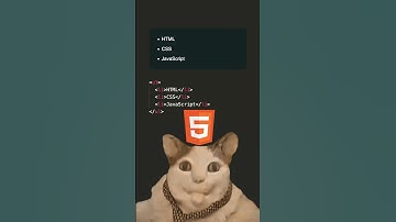 👨🏻‍💻 HTML. Запомни это! #html #css #js #javascript #frontend #programming #coding