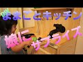 【おままごとキッチン】妻さんも娘も喜んでくれた！サプライズままごとキッチン