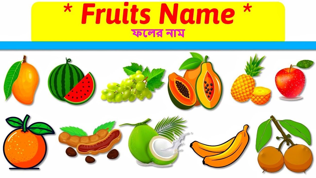 Fruits Name | 20 Fruits Name Learning in Bengali and English | Toyshala | Fruits Vocabulary 