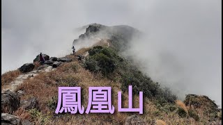 [大嶼山-鳳凰山]  路線: 伯公坳~鳳凰徑三段~鳳凰山(934米)~斬柴坳~昂坪 (6.5公里 4.5小時)
