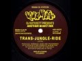 Dj sotofett presents another bhakti mix  transjungleride wania