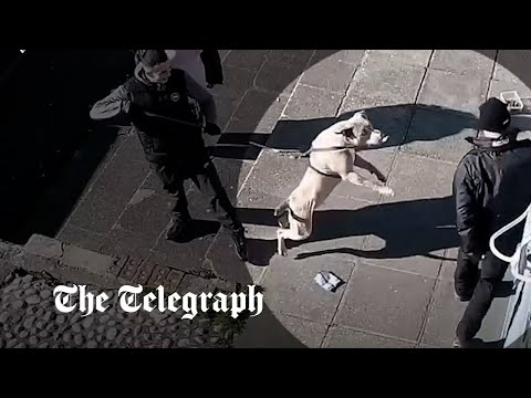 CCTV shows dog that mauled a 10-year-old boy to death lunging at passersby