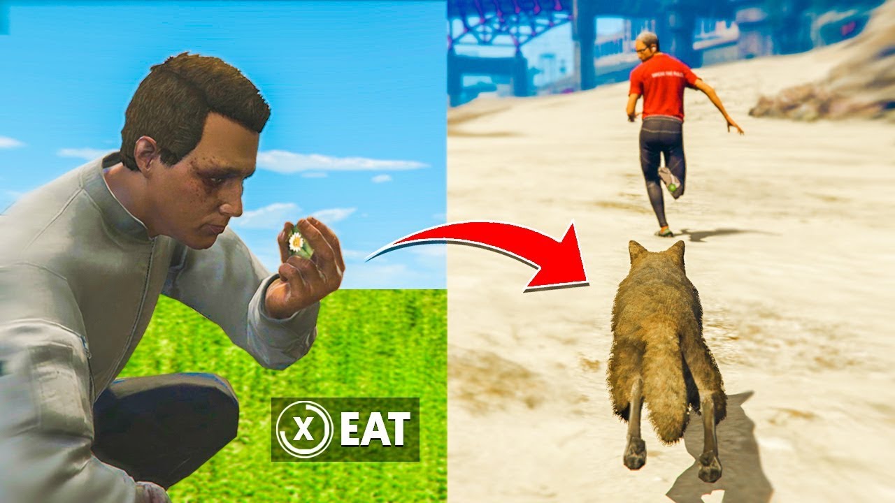Playing GTA Online As An ANIMAL! - YouTube