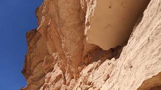 Arrow Canyon, petroglyph and ancient rock cupules carvings , Nevada. Warrior Shield.