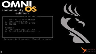 OmniOS Install 2024