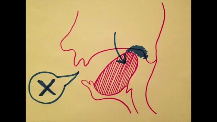 German Pronunciation: the 'ch' sound [Quick Tutorial]