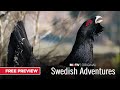 Swedish Adventures | Free Episode | MyOutdoorTV