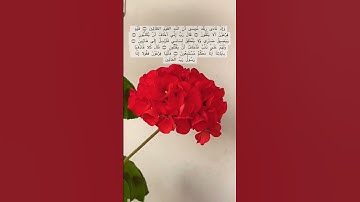 سورة الشعراء الآية ١٠ _١٦ #قرآن #القارئ_اسلام_صبحي