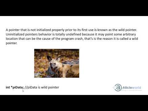wild pointer in C (HINDI\URDU)