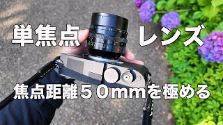 【あなたは得意？】焦点距離50mmを極めよう！【初心者こそ50mm単焦点】