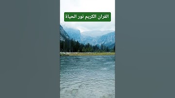 تلاوة خاشعة جدا للشيخ مشاري راشد العفاسي/ القران الكريم نور الحياة