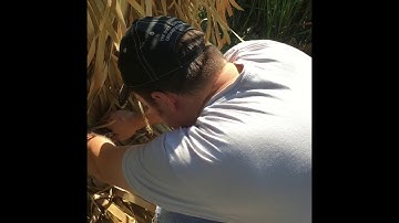 DIY Duck Blind Part2