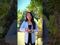 غريبين و ليل غسان صليبا Gharibayn W Layl Ghassan Saliba غريبين و ليل غسان صليبا Gharibayn W Layl Ghassan Saliba