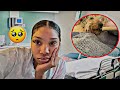 WORSE VLOGMAS DAY EVER!! I HAD TO RUSH MY DOG TO THE ER.