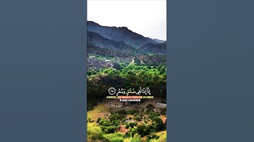 تلاوة تفوق الوصف قرأن كريم تخشع له القلوب #elmulquranعلم #قران_كريم #تلاوة #المصحف #اكسبلور #trend