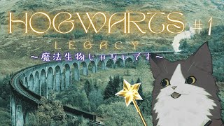 【ホグワーツレガシー】魔法生物じゃないです【#1】