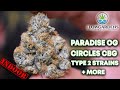 Flow Gardens Paradise OG, Circles CBG, Unicorn Butter + More | CBD Hemp Flower Review