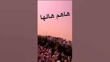 هاهم هلها 