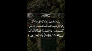 وإن كنتم في ريب مما نزلنا على عبدنا #سورة_البقرة #فارس_عباد #حامل_القرآن #إسلاميات #قرآن #شهر_رمضان