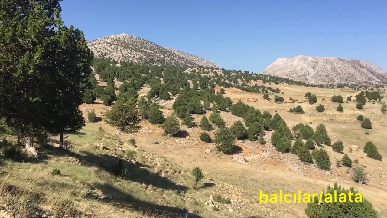 Konya Taşkent Balcılar/Alata  yaylası