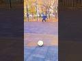 Удары #footballsoccer #футбол #футболист #sportsball #footballskills #americanfootball #skills #поле