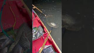 Viral Short Video Boy