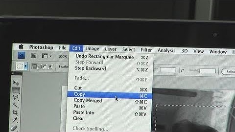 How To Copy And Paste Images In Photoshop