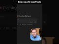 Microsoft CoWork