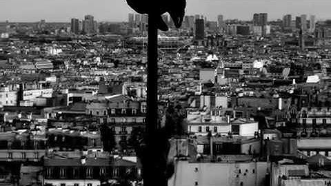 Mc Solaar - La belle et le bad boy