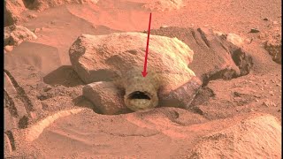 Mars perseverance Rover Captured a New 4k Stunning Video Footage of Mars Surface|| Mars in 4k|| - YouTube