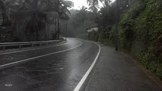 Heavy Rain & Distant Thunder On Empty Road | Rainfall For Relaxing, Sleeping Deeply, Insomnia