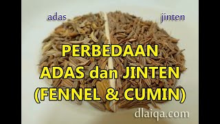 Adas bumbu dapur