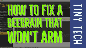Tiny Tech - How to Fix a BeeBrain That Won