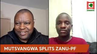 Neville Mutsvangwa arrest a sign of ZANU-PF factionalism - Thandazani Moyo