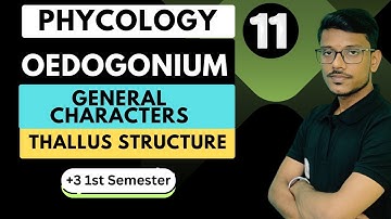 Oedogonium - General Characters & Thallus structure || Phycology || +3 1st Semister || Lecture - 11